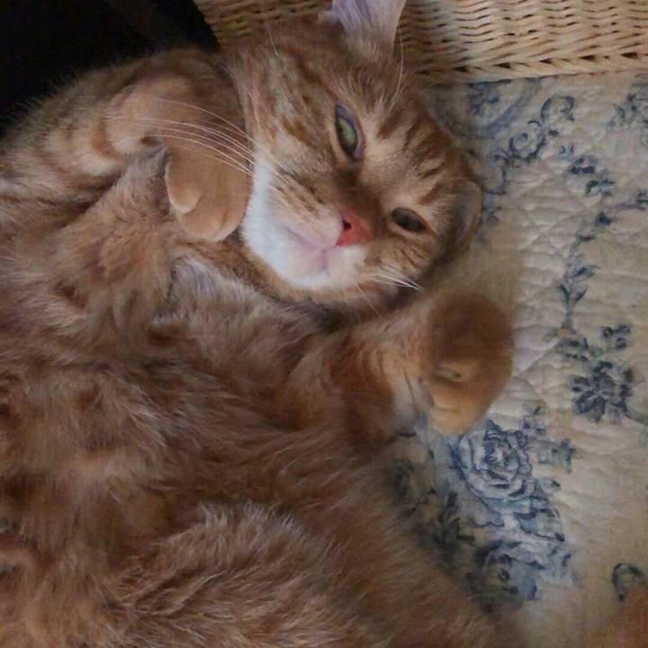 9367d031 7910 40f9 b597 708dce4b57ea 1557474043957