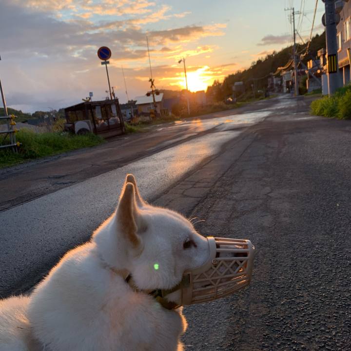 936828a7 7e84 42e3 a528 5ec30ffb98fe 1602718951264