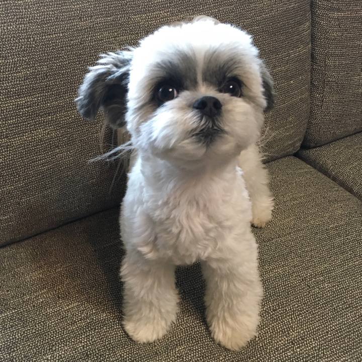 93682ca0 09b8 41cd b2c2 8b3bfdff5203 1528770963916