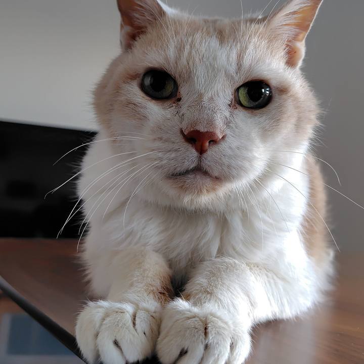 93684fda ed18 4453 a962 49d9c90594a2 1763935918022