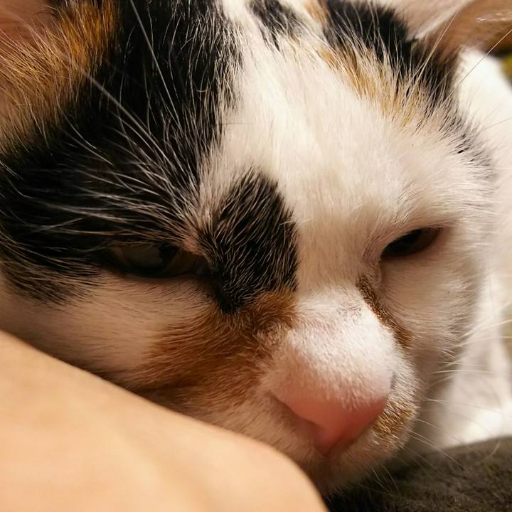 936854b2 b217 4e40 8695 886c16bbacc5 1546952396857