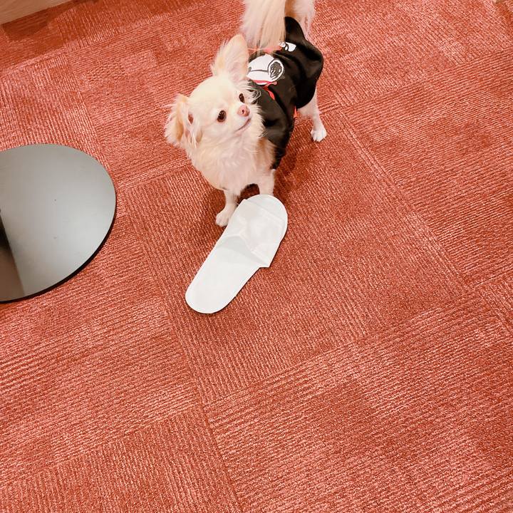 93685606 4ce6 466f a08b 5fa2e9d5e290 1672917284949