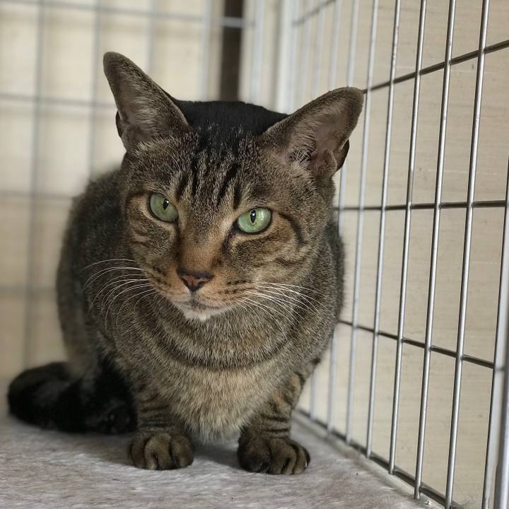 93689b96 3344 4a57 a054 fdab1c8b9389 1520645742846