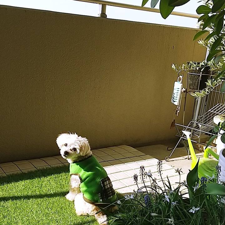 9368bb9a 2b3d 49aa 83c5 cb0efdc4dc27 1649481393693