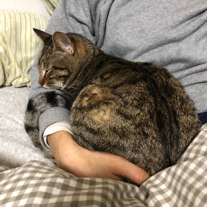 9368ce96 96fe 49f8 a483 a77674f7d0ff 1550806117196