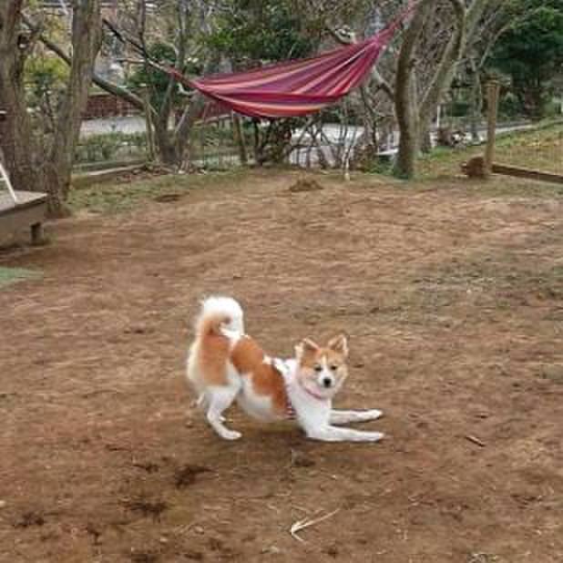 9368d235 a5c1 4b7e 8b60 59b031990827 1547635864369