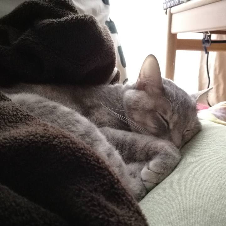 9368d347 6f9d 463b 91c5 061ba9be7d81 1515814985981