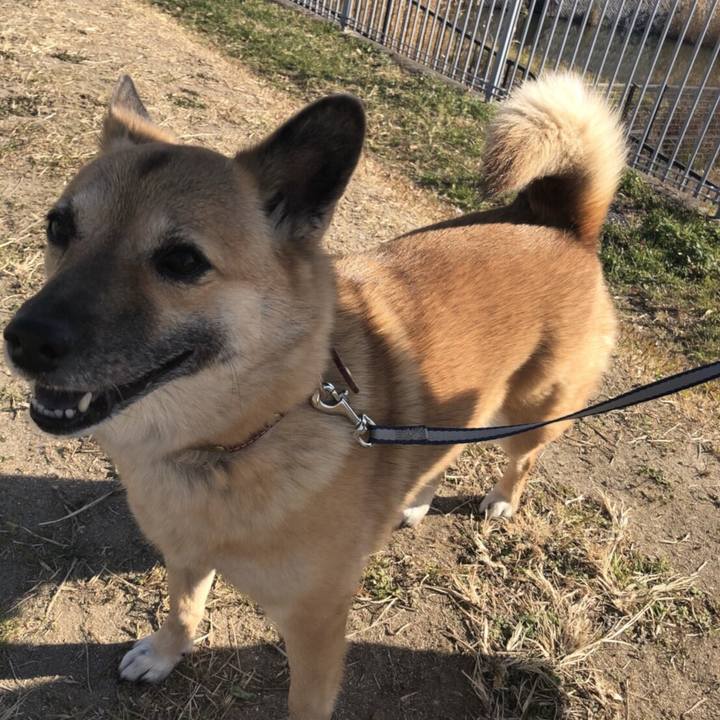 9368dd8d f011 45d9 b6ef d95da9b1c785 1513600863490