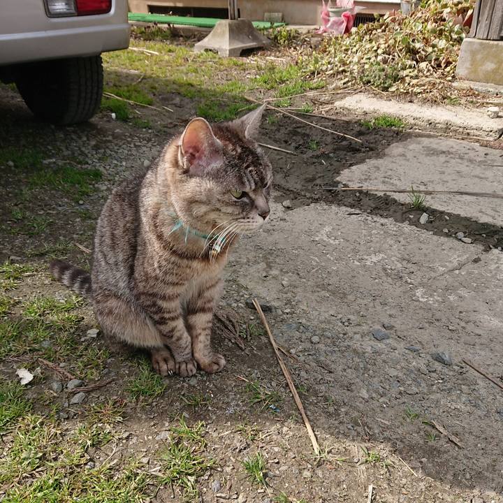 9368ea45 5903 42f4 8404 7ee3983e96fc 1555226615393