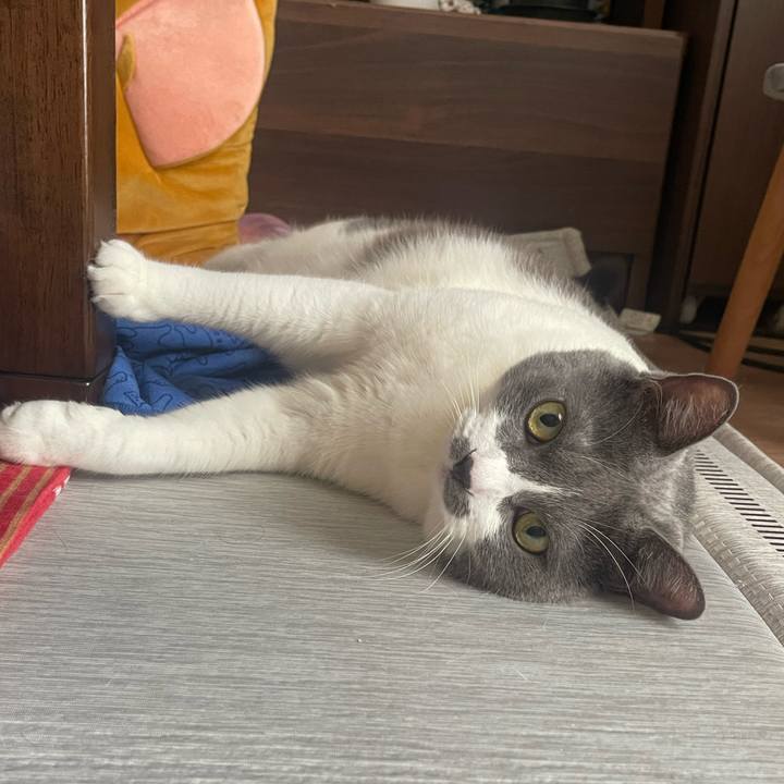 9368ec9d 8262 4d23 9482 9407ac60dbb4 1756425864998