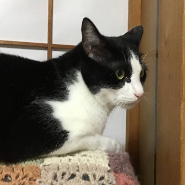 9368f252 b367 4449 961c c8d7005348a7 1692448030407