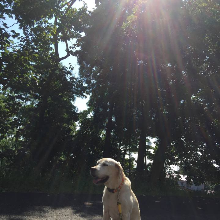 9369065b 6a98 4735 83ee 81e6b3389416 1587279599292