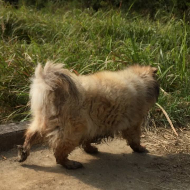 9369096a 59d7 4936 a502 c28077c0c17c 1654650752734