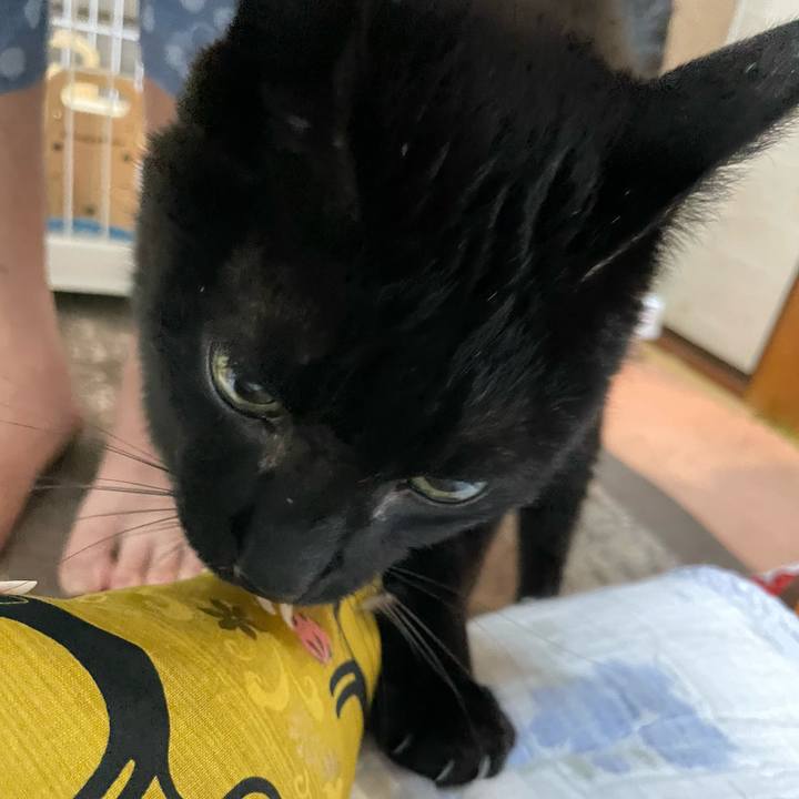 936910d7 b6b6 477d a00f f215751d1cd3 1655516778995