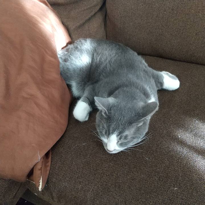 9369231f 9ea5 4c10 a2ea 1c4a936110ed 1641622018631