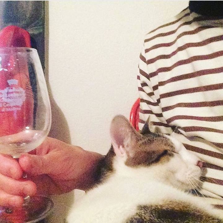 93694758 0f44 4e1a ba15 3333da0548b0 1529835302504