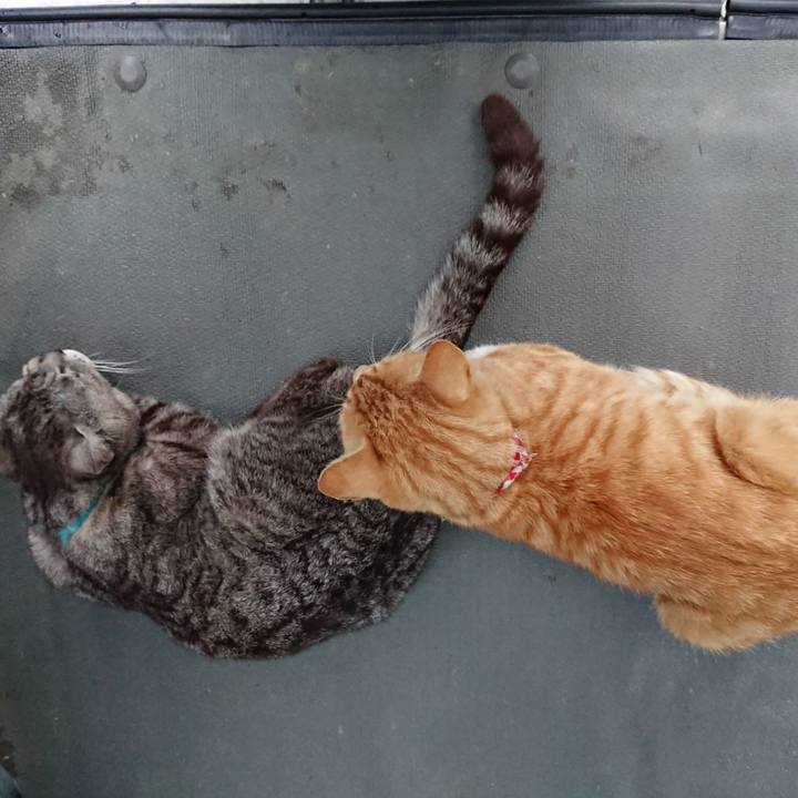 93698bad 484c 4ae8 9be5 b72c23d9d12e 1561627402915