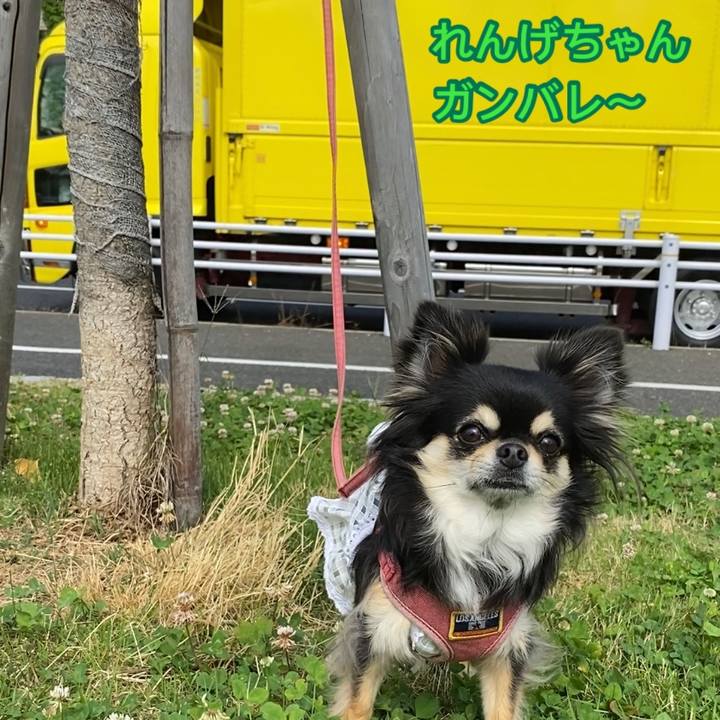 93699c8b f79a 40f3 8a70 267963aed17c 1623714588303