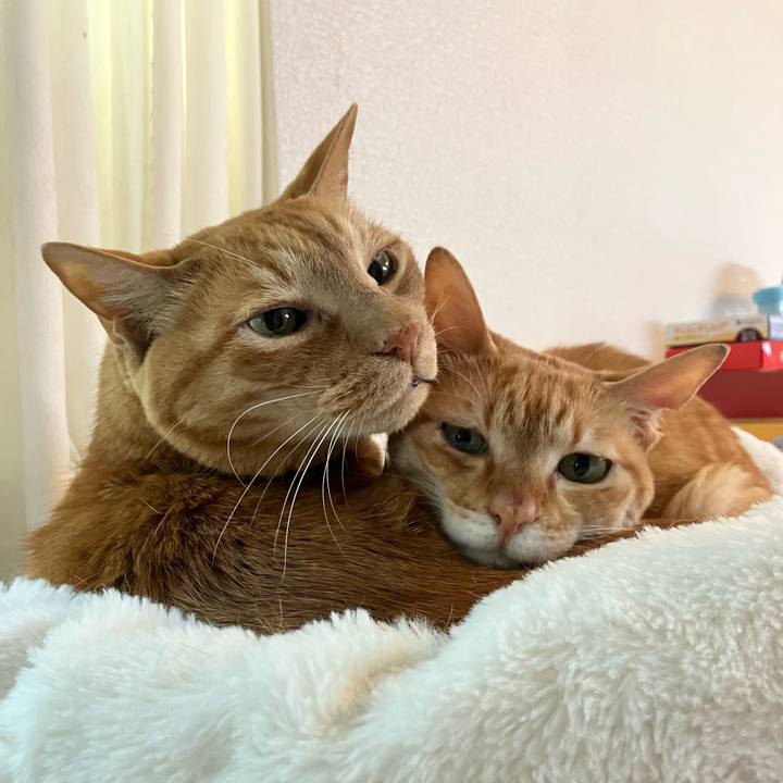 9369b93d 1561 4094 9b04 1da76eb9ee0f 1758618758367