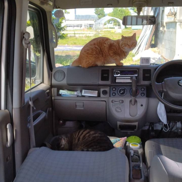 9369cbb0 47f5 42be b85f 549c17c192c2 1685918813350