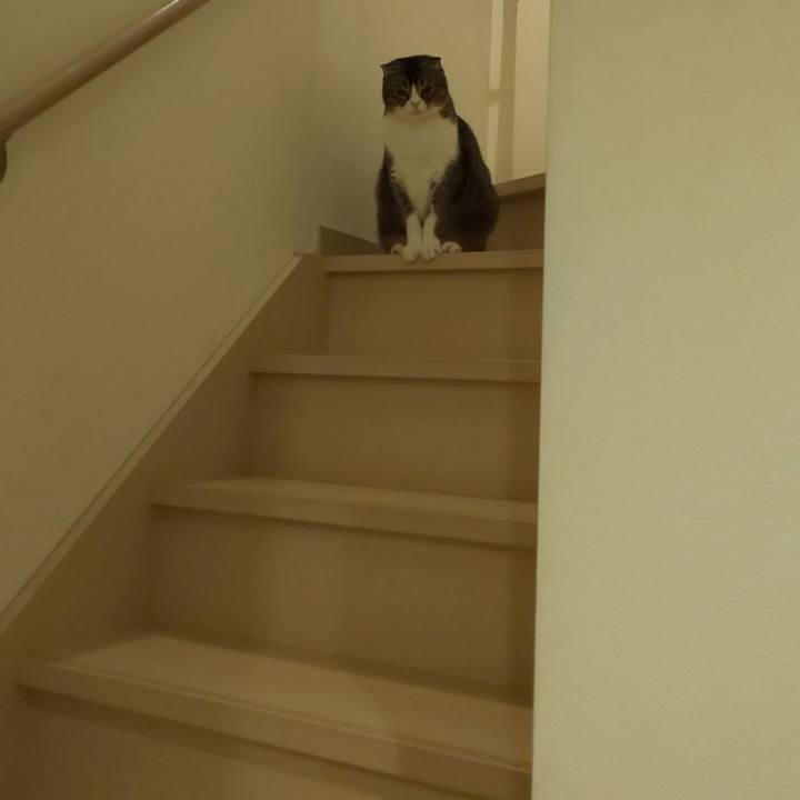 9369cc7b d627 46f4 8314 84b6561626cf 1572428044796