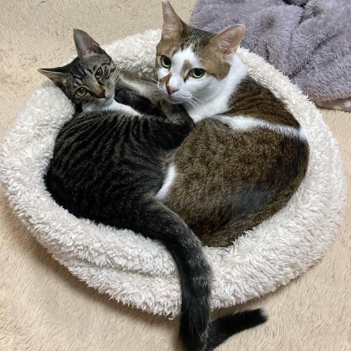 936a2aa7 fa17 42b0 bb7b c0be5f761ef1 1604901273382