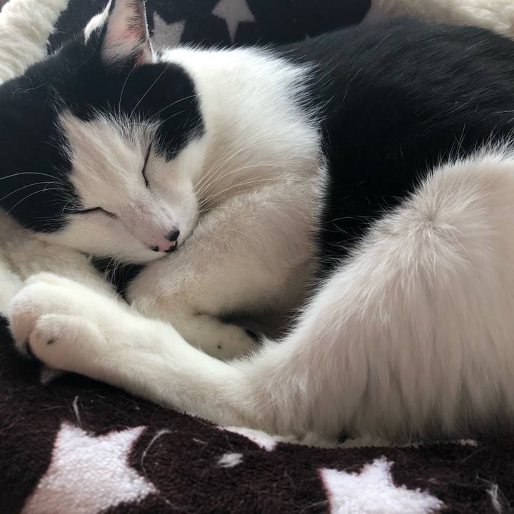 936a2b05 89b8 47ae b289 2d6d47ce1db5 1584852766689