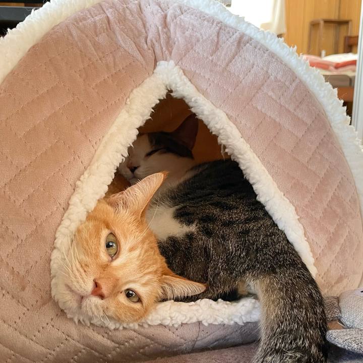 936a3331 2510 4270 9062 e2427e9d8f16 1768112749915