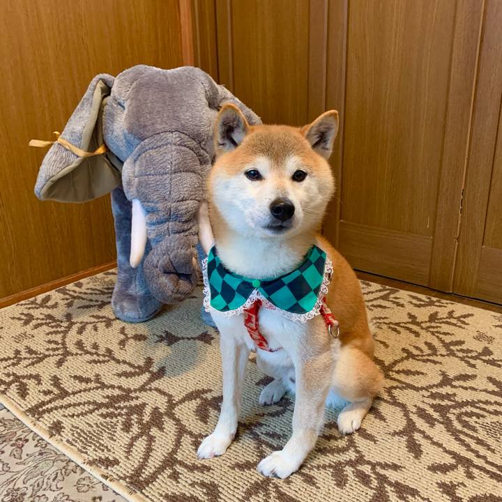 936a6ba4 8cdd 476a bb1f 38357d782477 1616760010358