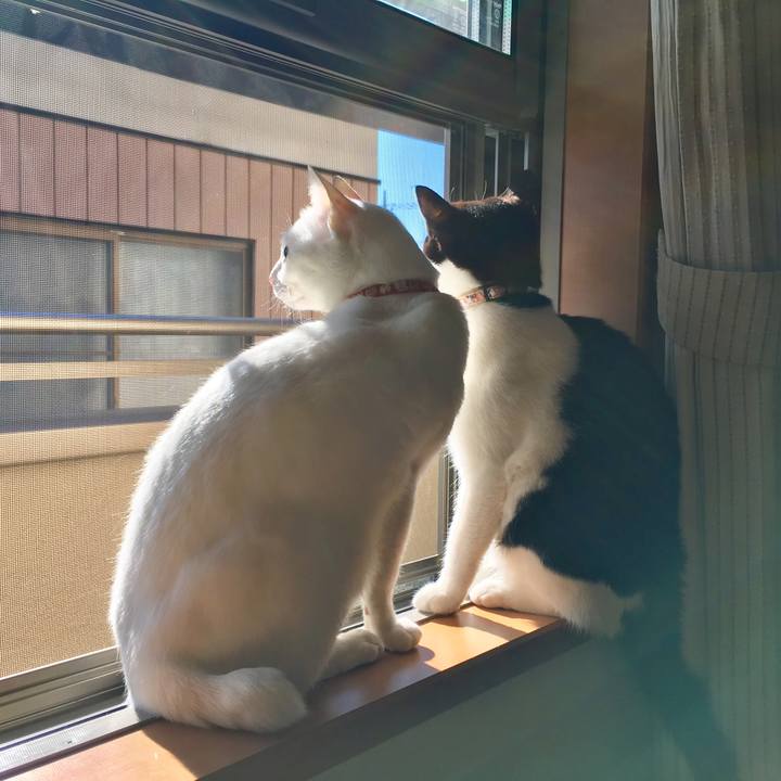 936a9c35 dea2 43ad 856d 521e0707f30b 1515899112833