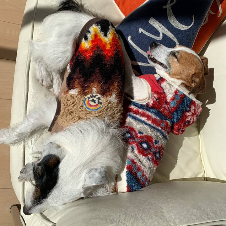 936ac206 5f93 445d 9714 ce5ad4b977fd 1579578440061