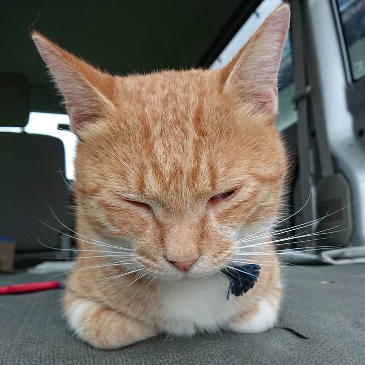 936acac6 44e5 47f1 aa86 5845da600c87 1568149761150