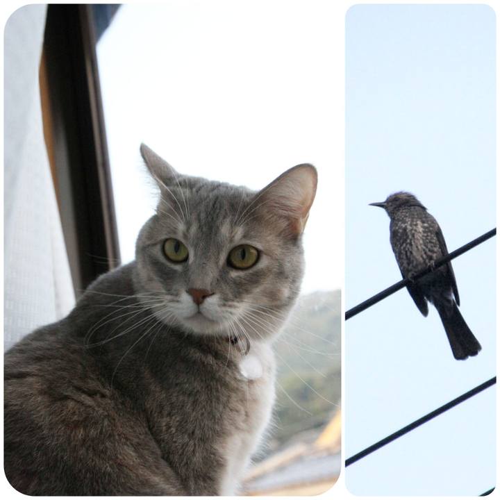 936af10a 99da 482b b935 1b34c61ad7a6 1540343804627