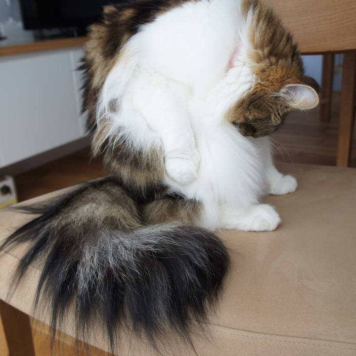 936af7f4 6be3 4a0e b74f 6e4f1fe9f68f 1528356803853