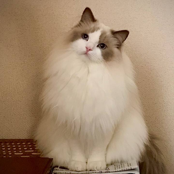 936af935 2214 4ddc b227 7e4ccf521557 1602843183330