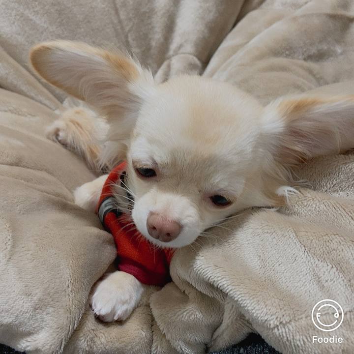 936afe02 9037 4544 875a bec3e0bc67af 1606341545086