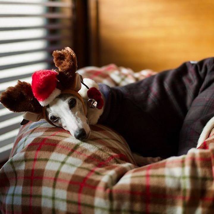 936b08c2 7c7d 44f0 93e0 3522d0003bfa 1545649069737