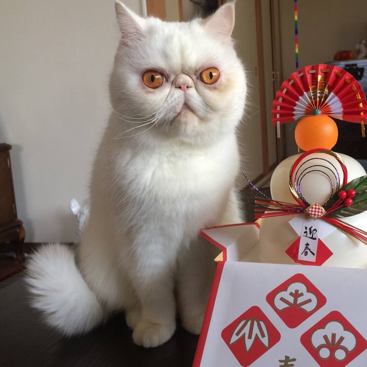 936b1120 d300 4211 b461 df167b404fb6 1546417136813