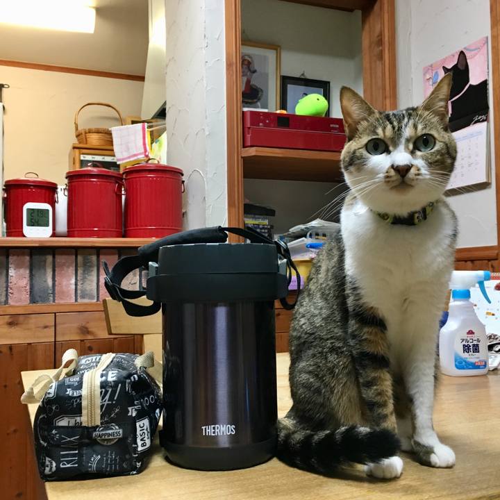 936b6685 533b 4b59 92c9 c35612dc31d5 1549030415552