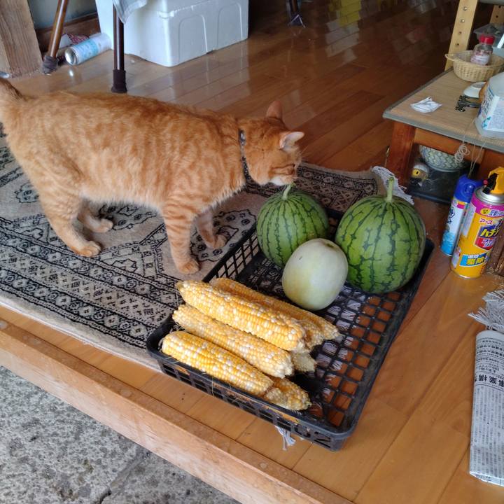 936b827a 202a 4677 9a11 b89bc0e8ca82 1691019050373