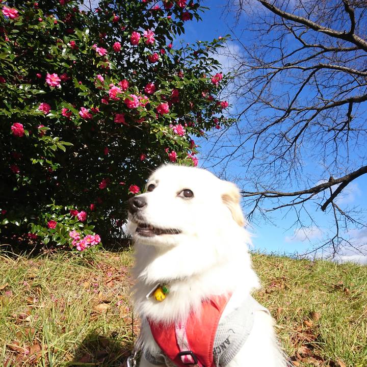 936b8aa3 e6e2 4f9d 9537 449fe22ba11b 1544410506962