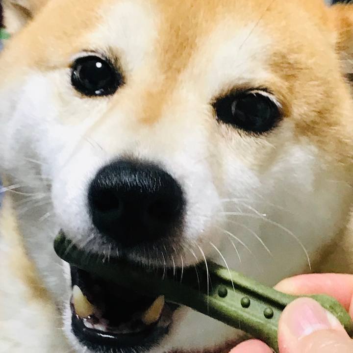 936ba98d 1709 4b8d 9db0 9e86bbd22d51 1566481164392