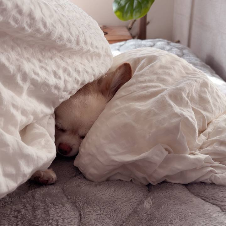 936bbecb 0c69 4f0a a773 386d716c9916 1734703440834