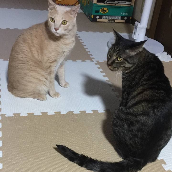 936bc0f2 a019 41cf aa7e aa9f34893211 1537009008296