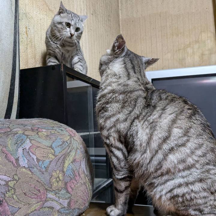 936bc294 5eea 41c0 8962 28e65b7feaaa 1724119504895