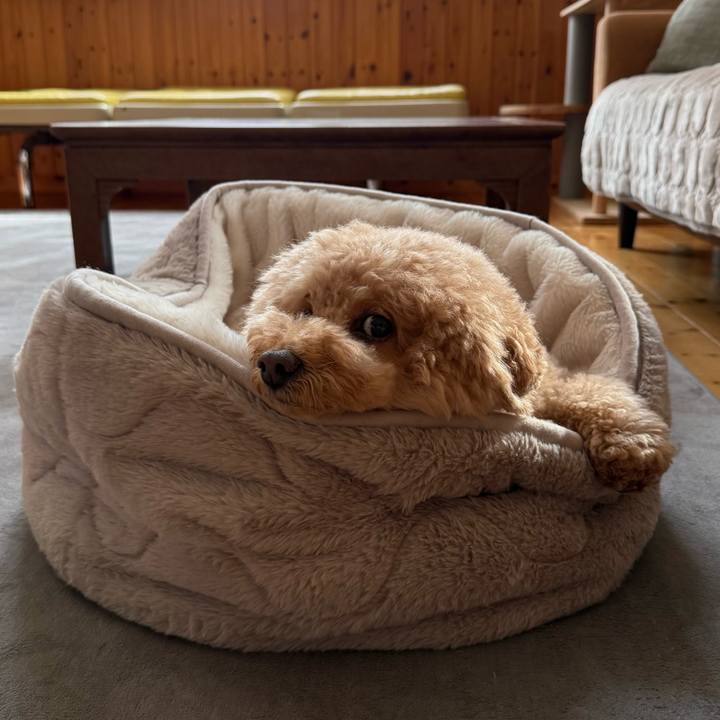 936bcf2b 649c 4440 96e7 2b9168256504 1765064704274