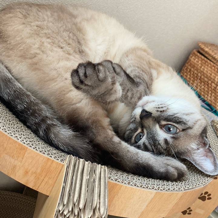 936c19ca 87e6 428c 8231 449b37d38350 1714535191997