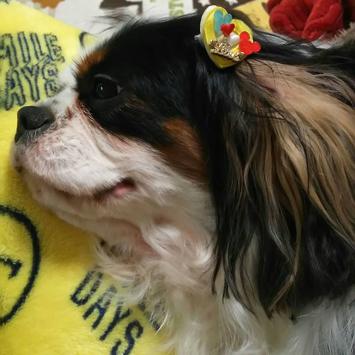 936c3364 ebf6 4274 8d7a 7ce5a071cc1d 1518340560901