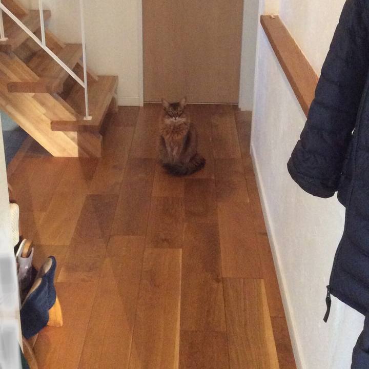 936c700a e2f0 4c94 9a09 d64cfac4bce5 1614747712406