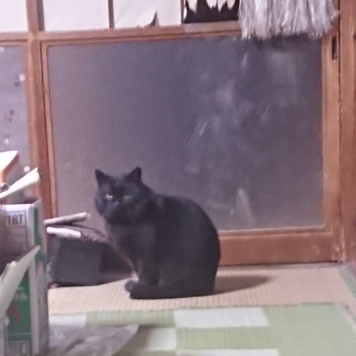 936c84da 18c1 48ff 9b07 d3862c053f62 1614161336632